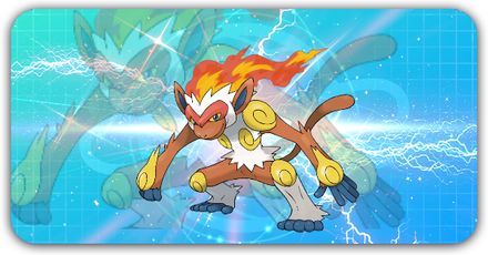 ゴウカザルの画像