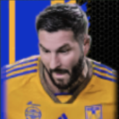 HPアンドレピエールジニャク(09/21)画像