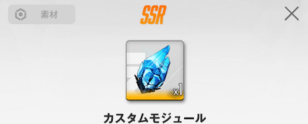 カスタムモジュール