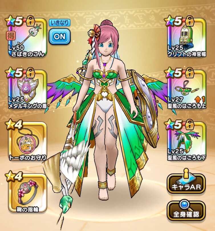 さばきのこん回復量検証時の装備