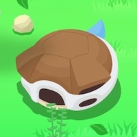 カメックスの星1寝顔画像