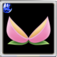 桃から産まれたかも？