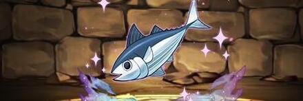 【10572】クロネのカツオ