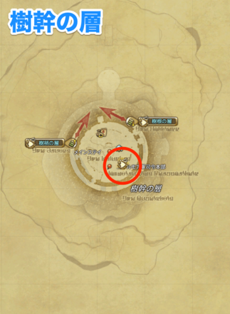樹幹の層
