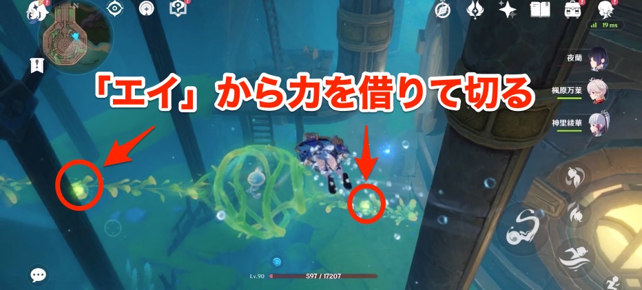 クラゲの閉じ込められた海藻を切る