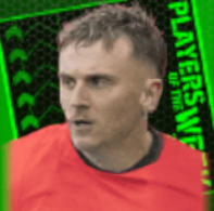 TPアルフィードーティー(10/05)画像