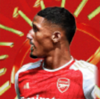 HPウィリアム・サリバ(アーセナル10/05)の画像