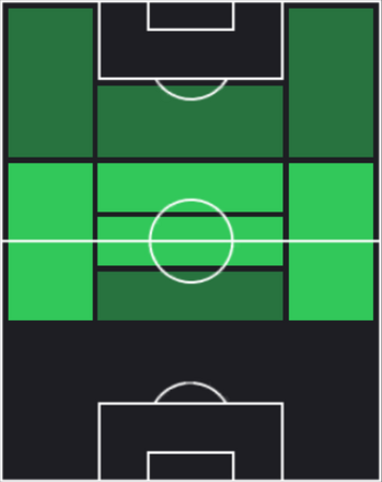 HPピオトル・ジエリニスキ(10/09)の適性ポジション