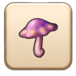 うるわしきのこ画像