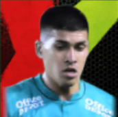 HPアドニスフリアス(10/12)画像