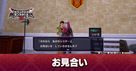 お見合いの場所とおすすめモンスター