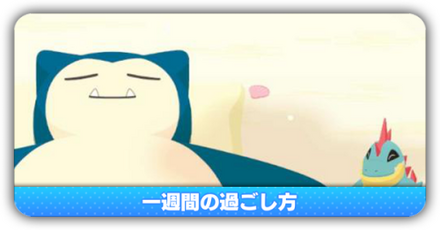 一週間の過ごし方