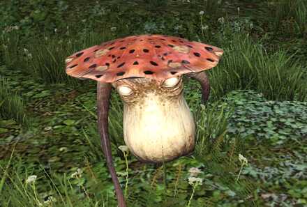 ファンガーの画像