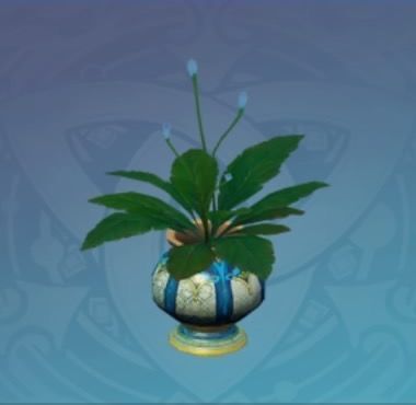 「卓識の地の明察」の画像