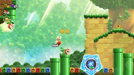 ワンダーフラワー