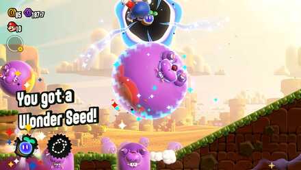 ワンダーシード1個目