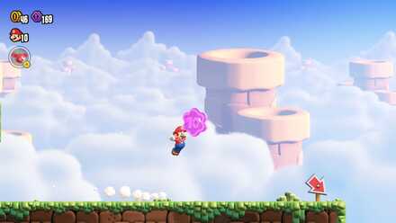 ワンダーフラワー2個目