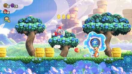 1-3のワンダーフラワー