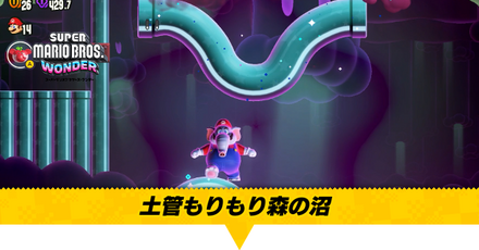 土管もりもり森の沼画像