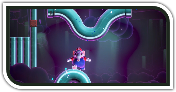 土管もりもり森の沼