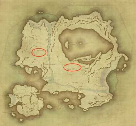 スクウィレルの場所画像