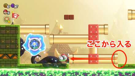 パレスのワンダーフラワー