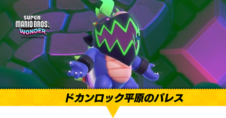 ドカンロック平原のパレス画像