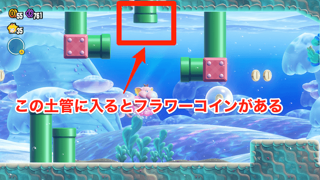 フラワーコイン