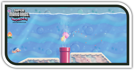 ヨコドリーの海岸洞窟画像