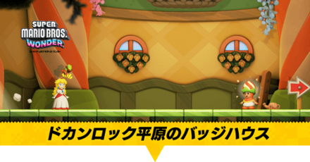 ドカンロック平原のバッジハウス