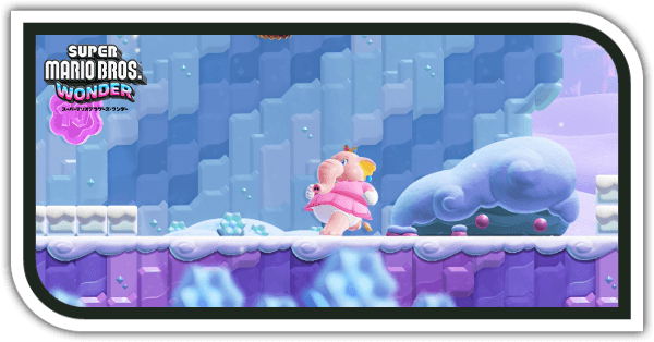 ヘビムシの雪山登山道