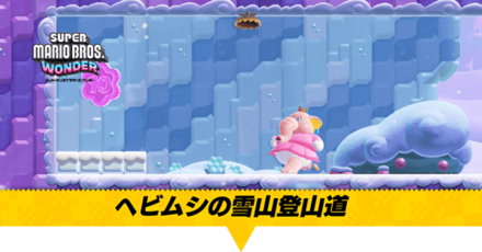 ヘビムシの雪山登山道画像