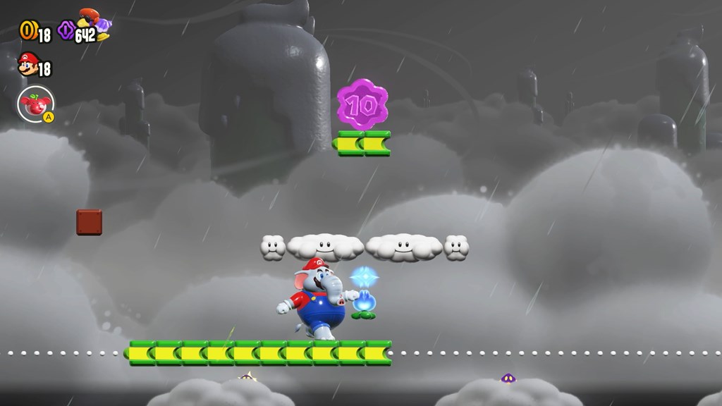 フラワーコイン1枚目