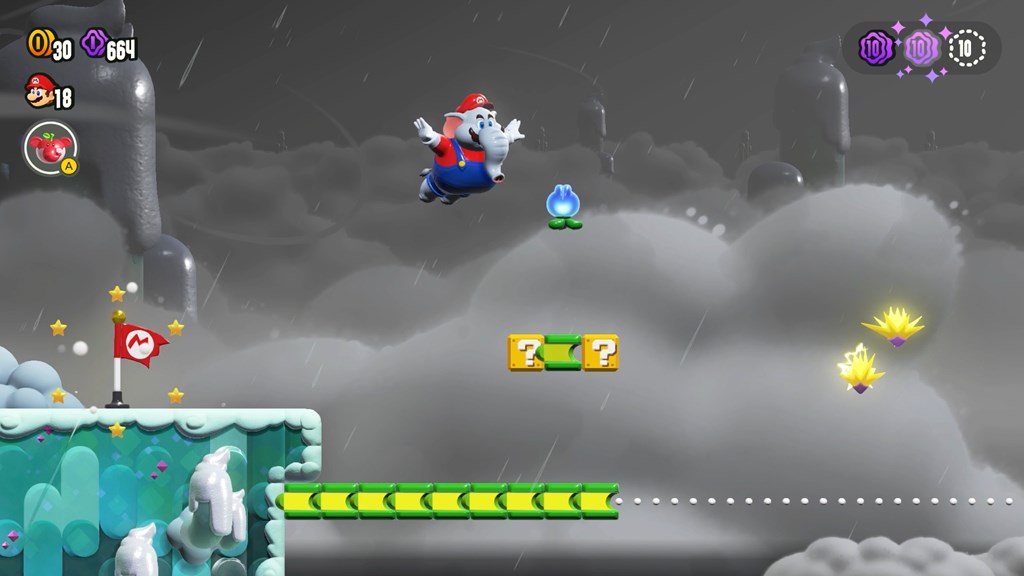 ワンダーフラワーの場所