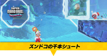 ズンドコの千本シュート画像