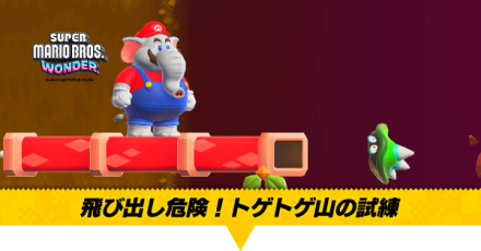 飛び出し危険！トゲトゲ山の試練画像