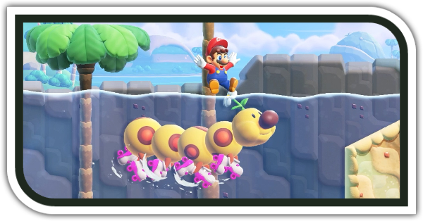 走って泳いでハナチャンレース