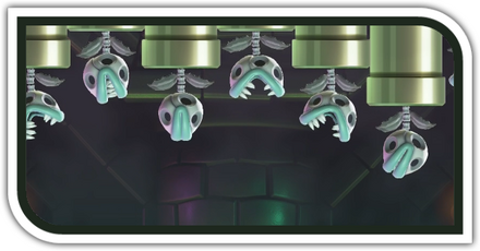 モックモック高山のパレス画像