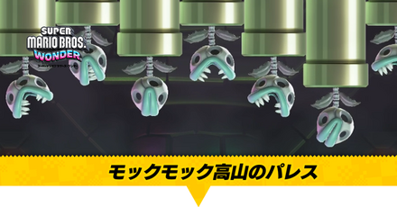 モックモック高山のパレス画像