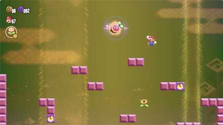 ワンダーシード