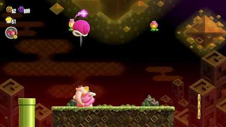 甲羅を上に蹴って花を取って