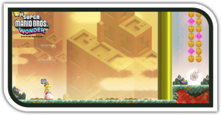 届かぬ奥の宝物画像