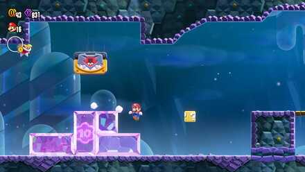 フラワーコイン1枚目