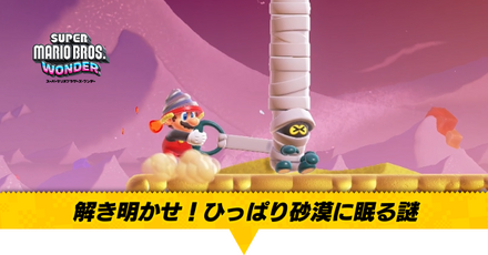 解き明かせ！ひっぱり砂漠に眠る謎画像