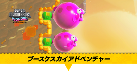 ブースケスカイアドベンチャー画像