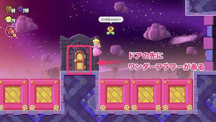 ワンダーフラワー