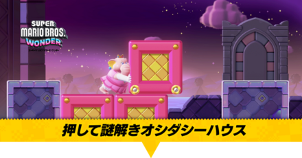 押して謎解きオシダシーハウス画像