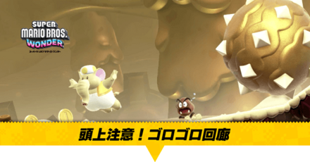 頭上注意！ゴロゴロ回廊画像