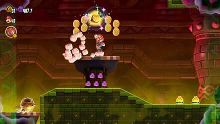 パレスのシード