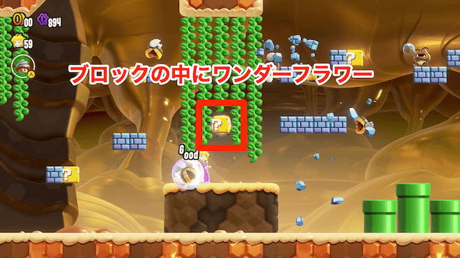 ブロックの中のワンダーフラワーを取得